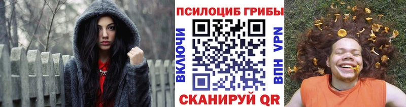 Купить  Братск  Псилоцибиновые грибы MAGIC MUSHROOMS 